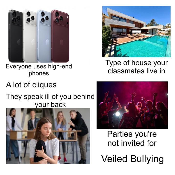IN Everyone uses high-end phones A lot of cliques They speak ill of you behind your back Type of house your classmates live in Parties you're not invited for Veiled Bullying