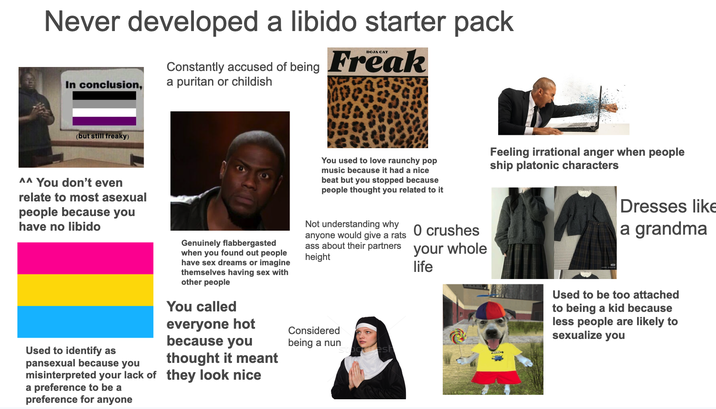 Never developed a libido starter pack In conclusion, Constantly accused of being Freak a puritan or childish (but still freaky) ^^ You don't even relate to most asexual people because you have no libido You used to love raunchy pop music because it had a nice beat but you stopped because people thought you related to it Feeling irrational anger when people ship platonic characters Used to identify as pansexual because you misinterpreted your lack of a preference to be a preference for anyone Genuinely flabbergasted when you found out people have sex dreams or imagine themselves having sex with other people You called everyone hot because you thought it meant they look nice Not understanding why anyone would give a rats ass about their partners height Considered being a nun 0 crushes your life whole Dresses like a grandma Used to be too attached to being a kid because less people are likely to sexualize you