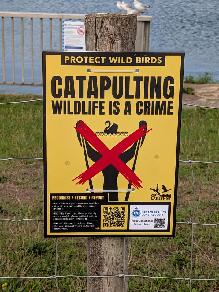 3 PROTECT WILD BIRDS CATAPULTING WILDLIFE IS A CRIME RECOGNISE/RECORD / REPORT RECOGNISE: If you see someone with a catapult targeting wildlife its a crime. Report it. RECORD: If you have the opportunity to use a mobile phone without putting yourself in danger Record It. REPORT: If crime in action call 999 otherwise 101 and report to Animal Crimewatch. OP LAKESHOT HERTFORDSHIRE CONSTABULARY Rural Operational Support Team