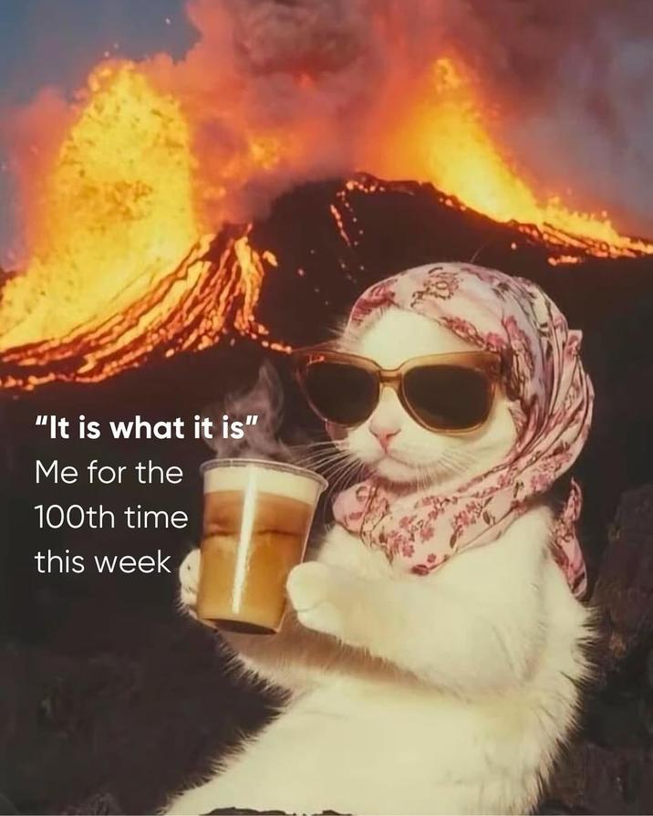 "It is what it is" Me for the 100th time this week