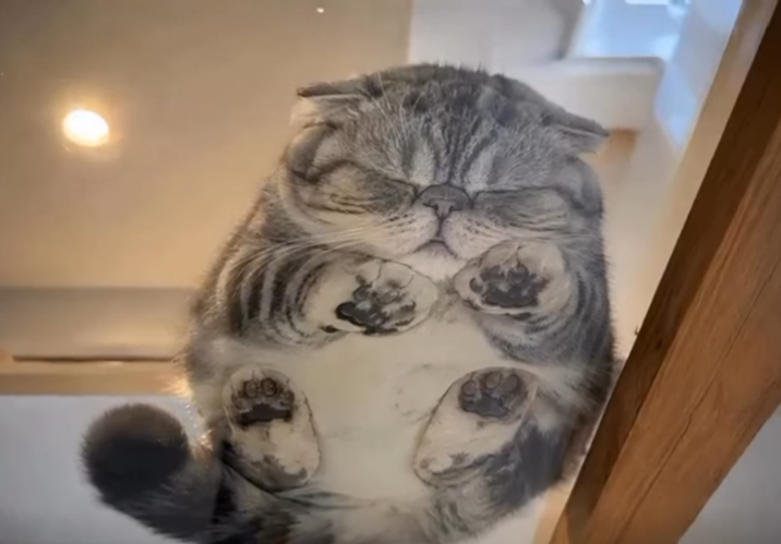 607