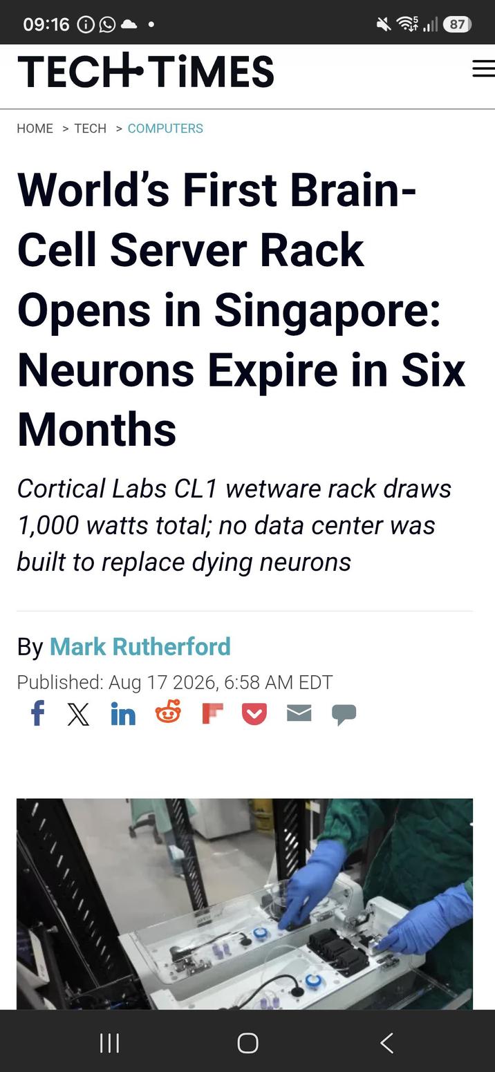 09:16 TECH-TIMES HOME > TECH > COMPUTERS 87 World's First Brain- Cell Server Rack Opens in Singapore: Neurons Expire in Six Months Cortical Labs CL1 wetware rack draws 1,000 watts total; no data center was built to replace dying neurons By Mark Rutherford Published: Aug 17 2026, 6:58 AM EDT f X in ||| <