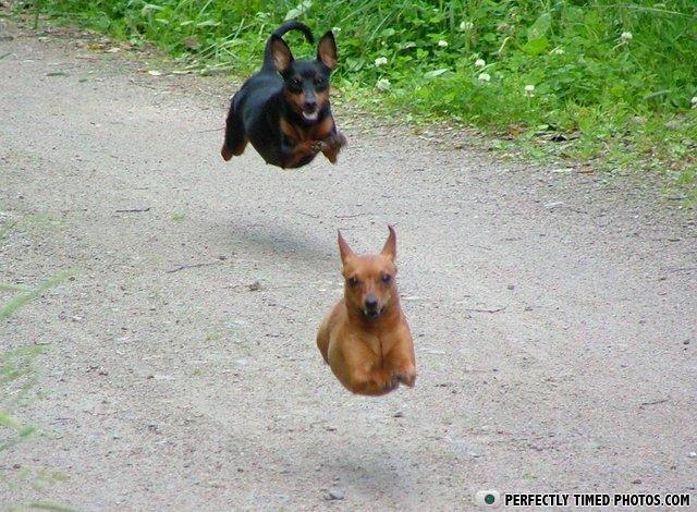 PERFECTLY TIMED PHOTOS.COM