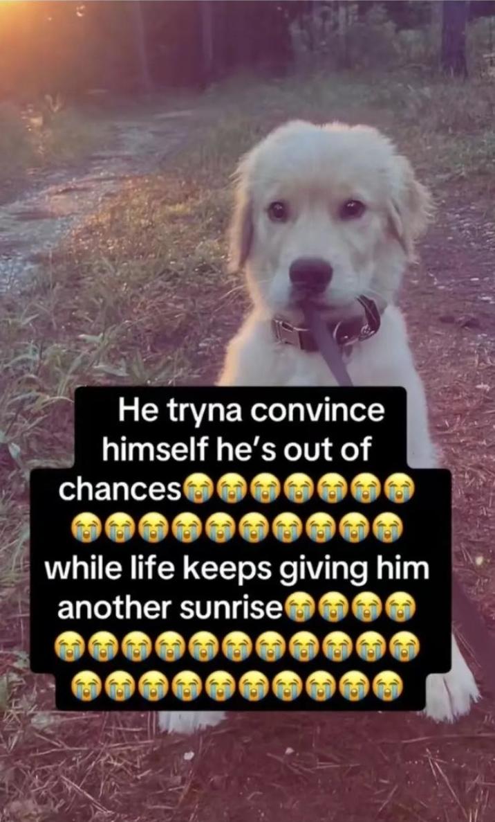 He tryna convince himself he's out of chances while life keeps giving him another sunrise