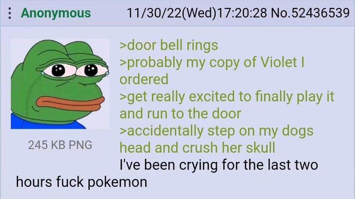 Anonymous 245 KB PNG 11/30/22(Wed)17:20:28 No.52436539 >door bell rings >probably my copy of Violet I ordered >get really excited to finally play it and run to the door >accidentally step on my dogs head and crush her skull I've been crying for the last two hours f--- pokemon