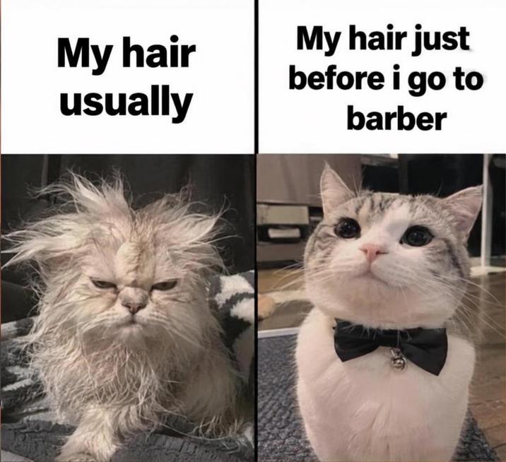 My hair usually My hair just before i go to barber
