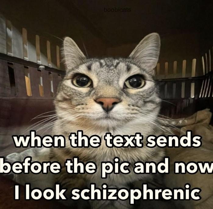 boobicats when the text sends before the pic and now I look schizophrenic