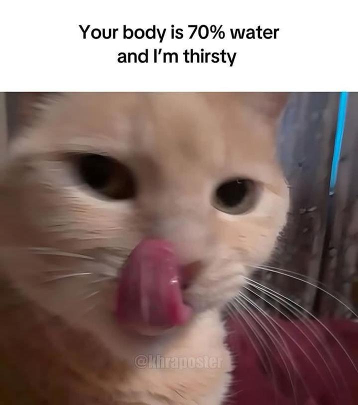 Your body is 70% water and I'm thirsty @khraposter