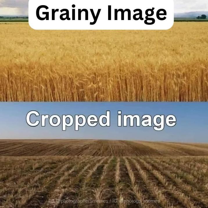 Grainy Image Cropped image FB@photographersmemes / IG @photogs memes
