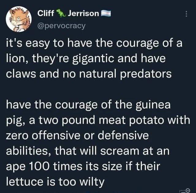 Cliff Jerrison @pervocracy it's easy to have the courage of a lion, they're gigantic and have claws and no natural predators have the courage of the guinea pig, a two pound meat potato with zero offensive or defensive abilities, that will scream at an ape 100 times its size if their lettuce is too wilty 0