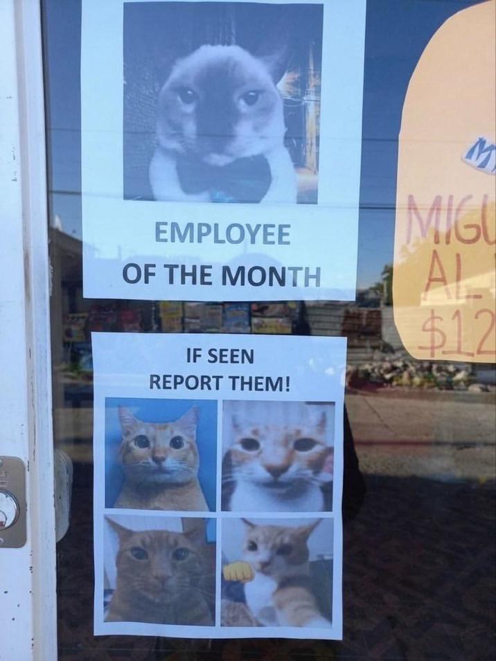 EMPLOYEE OF THE MONTH IF SEEN REPORT THEM! M MIGU AL $12