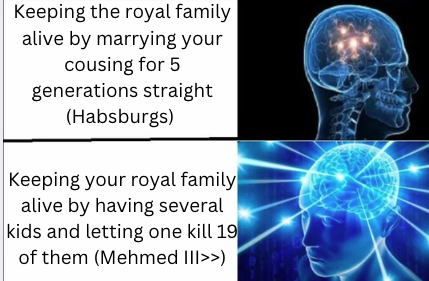 Keeping the royal family alive by marrying your cousing for 5 generations straight (Habsburgs) Keeping your royal family alive by having several kids and letting one kill 19 of them (Mehmed III>>)