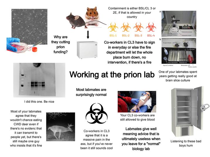 istockphoto.com/karlbarrett Containment is either BSL/CL 3 or 2E, if that is allowed in your country a 100 μm Why are they cutting prion funding? ↓ Ice Ethanol Stereomicroscope BSL-1 BSL-2 BSL-3 BSL-4 Detergent solution Dissection board b Vibratome discs Surgical blade- Co-workers in CL3 have to sign in everyday or else the fire department will let the whole place burn down, no intervention, if there's a fire Working at the prion lab Fine instruments Dissection kit Agarose container Manipulator tool Pasteur pipette One of your labmates spent years getting really good at brain slice culture I did this one. Be nice Most of your labmates agree that they wouldn't chance eating CWD deer even if there's no evidenc that it can transmit to people yet, but there's still maybe one guy who insists that it's fine Most labmates are surprisingly normal 8 Co-workers in CL3 agree that it is a massive pain in the ass, but if you've never been it still sounds cool Your CL3 co-workers are still allowed to give blood Labmates give well meaning advice that is ultimately useless when you leave for a "normal" biology lab Listening to these bad boys hum