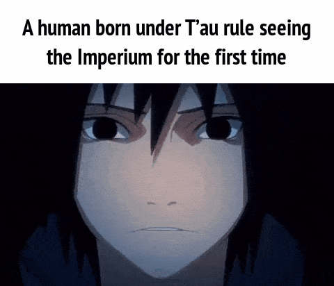 A human born under T'au rule seeing the Imperium for the first time