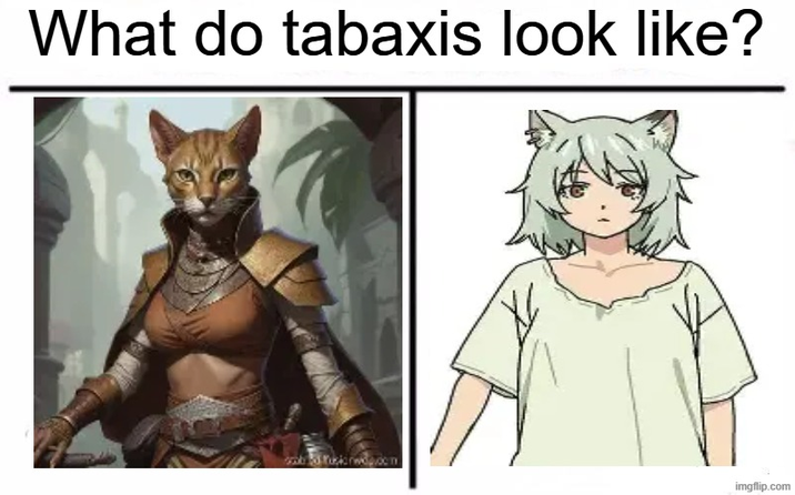 What do tabaxis look like? imgflip.com