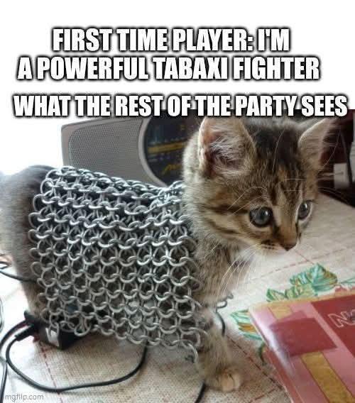 FIRST TIME PLAYER:I'M A POWERFUL TABAXI FIGHTER WHAT THE REST OF THE PARTY SEES mgflip.com M