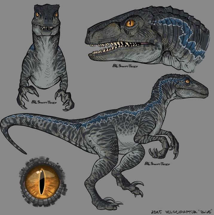 BLSWIFT THIEF BLSWIFT THIEF BLSWIFT THIEF 2015 VELOCIRAPTOR "BLUE"