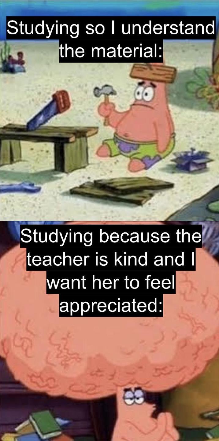 Studying so I understand the material: Studying because the teacher is kind and I want her to feel appreciated: