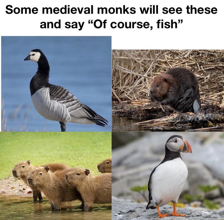 Some medieval monks will see these and say "Of course, fish"