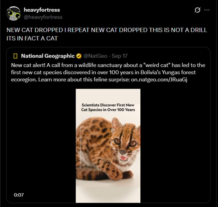heavyfortress @heavyfortress 0 NEW CAT DROPPED I REPEAT NEW CAT DROPPED THIS IS NOT A DRILL ITS IN FACT A CAT National Geographic @NatGeo - Sep 17 - New cat alert! A call from a wildlife sanctuary about a "weird cat" has led to the first new cat species discovered in over 100 years in Bolivia's Yungas forest ecoregion. Learn more about this feline surprise: on.natgeo.com/JRuaGj 0:07 Scientists Discover First New Cat Species in Over 100 Years