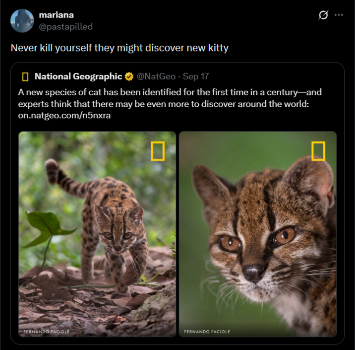 mariana @pastapilled Never kill yourself they might discover new kitty National Geographic @NatGeo - Sep 17 - A new species of cat has been identified for the first time in a century-and experts think that there may be even more to discover around the world: on.natgeo.com/n5nxra FERNANDO FACIOLE FERNANDO FACIOLE 0