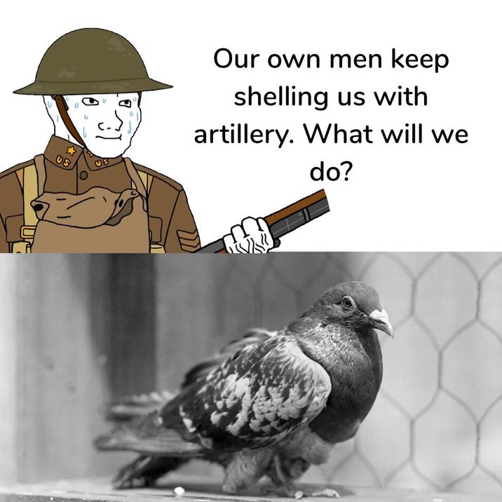 US Our own men keep shelling us with artillery. What will we do?