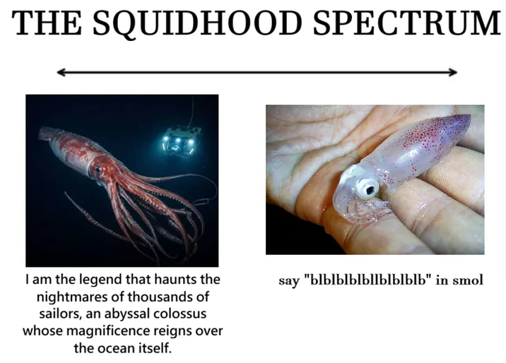 THE SQUIDHOOD SPECTRUM I am the legend that haunts the nightmares of thousands of sailors, an abyssal colossus whose magnificence reigns over the ocean itself. say · "blblblblbllblblblb" in smol