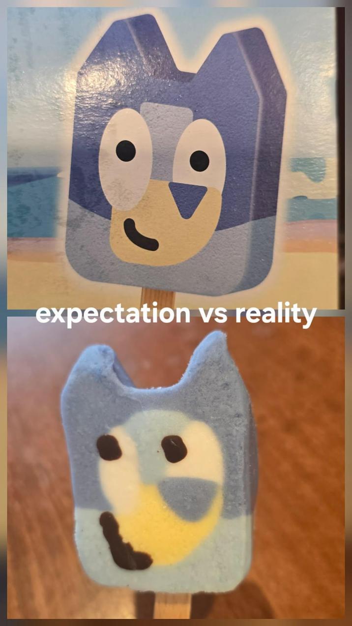 expectation vs reality