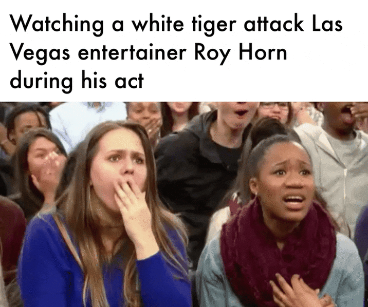 Watching a white tiger attack Las Vegas entertainer Roy Horn during his act