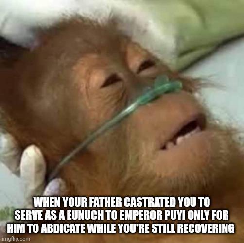 WHEN YOUR FATHER CASTRATED YOU TO SERVE AS A EUNUCH TO EMPEROR PUYI ONLY FOR HIM TO ABDICATE WHILE YOU'RE STILL RECOVERING imgflip.com