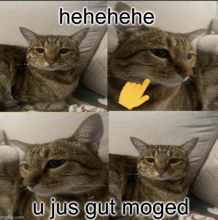 hehehehe u jus gut moged imgflip.com