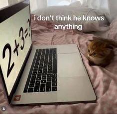 +3= i don't think he knows anything