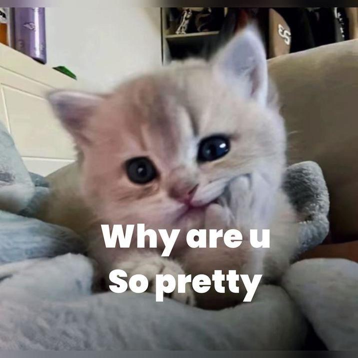 5 Why are u So pretty