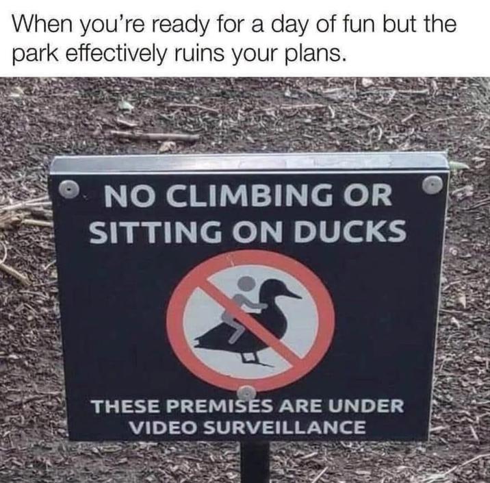 When you're ready for a day of fun but the park effectively ruins your plans. NO CLIMBING OR SITTING ON DUCKS THESE PREMISES ARE UNDER VIDEO SURVEILLANCE