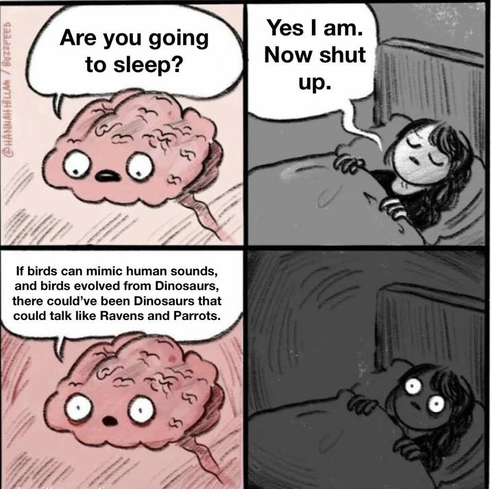 @HANNAH HILLAM/BUZZFEED Are you going to sleep? Yes I am. Now shut up. If birds can mimic human sounds, and birds evolved from Dinosaurs, there could've been Dinosaurs that could talk like Ravens and Parrots. O S