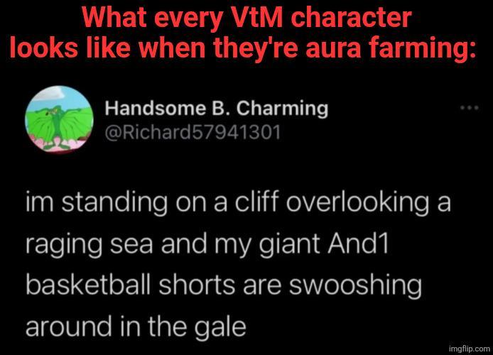 What every VtM character looks like when they're aura farming: Handsome B. Charming @Richard57941301 im standing on a cliff overlooking a raging sea and my giant And1 basketball shorts are swooshing around in the gale imgflip.com
