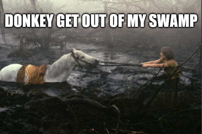 DONKEY GET OUT OF MY SWAMP