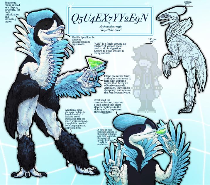 Feathered mane is used as a display structure, for both intimidation and attracting mates Q5U4EX7YY2E9N Flexible lips allow for complex vocalizations and expressions. Archaeruleus regis "Royal blue ruler" "Acid" is a finely ground up mixture of various rocks used to aid in digestion. Known to be an irritant to many animals 183 cm (6') Additional large plumage on legs is less dense than it looks to avoid increasing drag too much while running, though it is used for both keeping in and dispelling heat. Claws are rather blunt as they're used more to help with gripping rather than being an offensive measure. Although, they can be sharpened and ones on the feet frequently are. Crest used for communication, creating a loud sound that alerts all other animals in the vicinity of an important announcement (Notification) A kind of nail polish is applied to the claws of hands and toes to match the colors of nearby feathers. Purely for aesthetics 220cm (7'2)