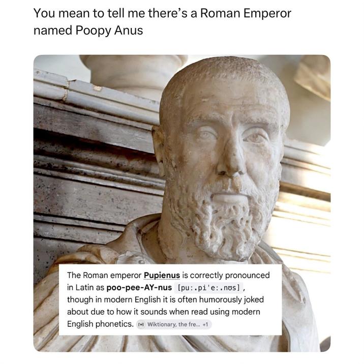 You mean to tell me there's a Roman Emperor named Poopy Anus The Roman emperor Pupienus is correctly pronounced in Latin as poo-pee-AY-nus [pu:.pi'e:.nʊs], though in modern English it is often humorously joked about due to how it sounds when read using modern English phonetics. Im Wiktionary, the fre... +1