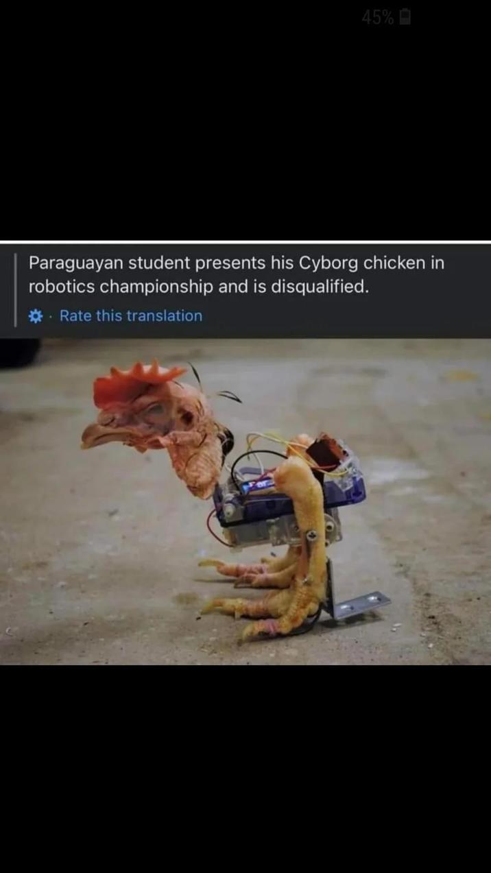 45%-> Paraguayan student presents his Cyborg chicken in robotics championship and is disqualified. Rate this translation