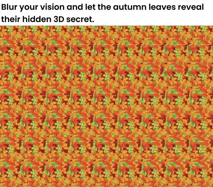 Blur your vision and let the autumn leaves reveal their hidden 3D secret.