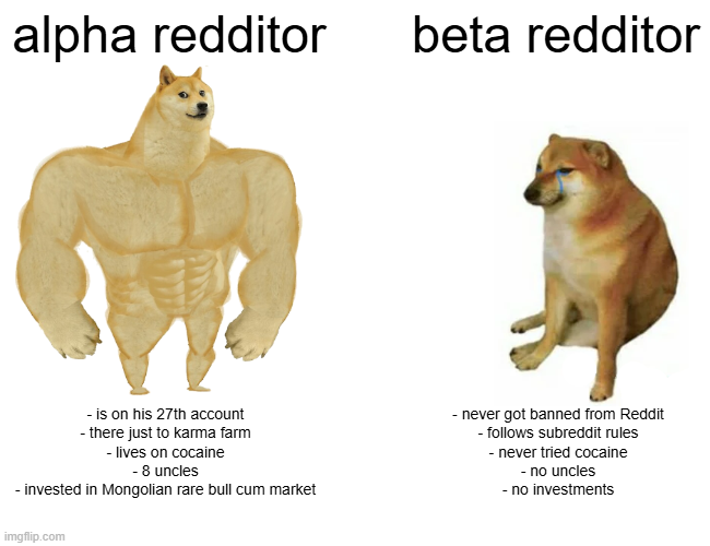 alpha redditor - is on his 27th account - there just to karma farm - lives on cocaine - 8 uncles - invested in Mongolian rare bull c-- market imgflip.com beta redditor - never got banned from Reddit - follows subreddit rules - never tried cocaine - no uncles - no investments