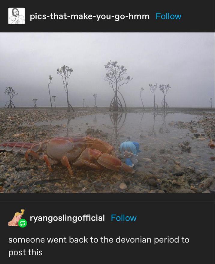 pics-that-make-you-go-hmm Follow ryangoslingofficial Follow someone went back to the devonian period to post this