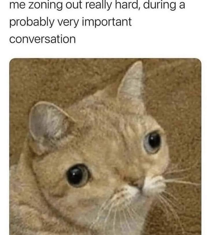 me zoning out really hard, during a probably very important conversation