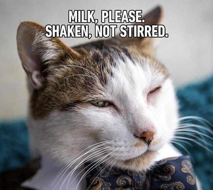 MILK, PLEASE. SHAKEN, NOT STIRRED.