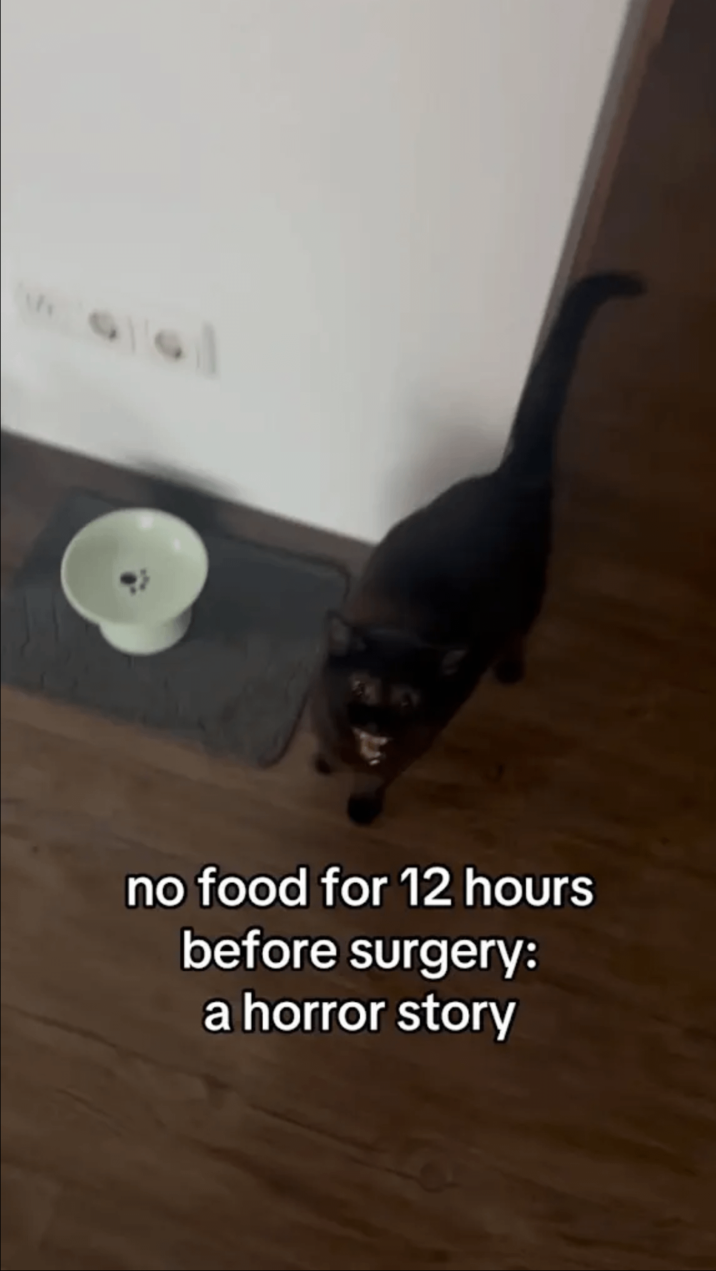 no food for 12 hours before surgery: a horror story