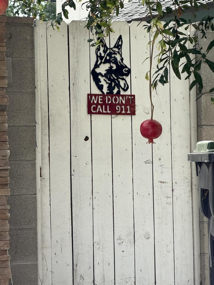 WWE DON'T CALL 911