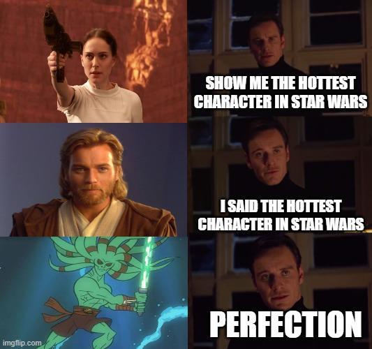 SHOW ME THE HOTTEST CHARACTER IN STAR WARS I SAID THE HOTTEST CHARACTER IN STAR WARS imgflip.com PERFECTION
