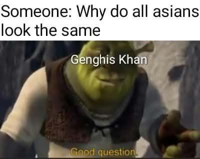 Someone: Why do all asians look the same Genghis Khan Good question