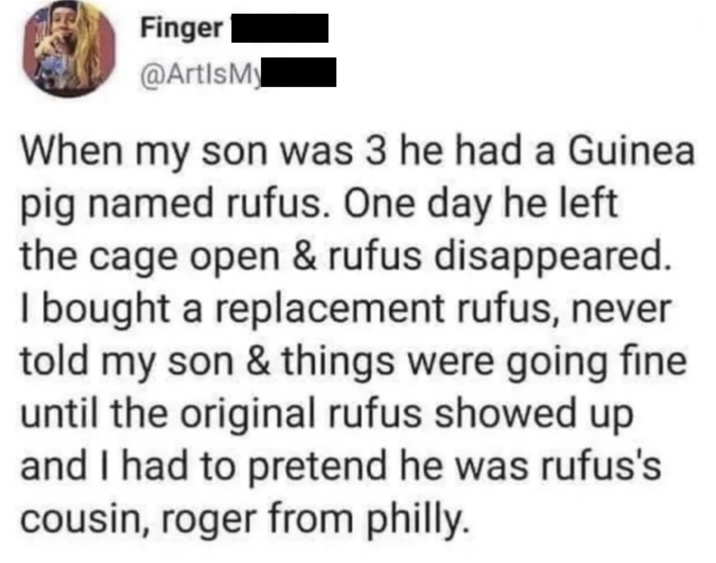 Finger @Artis My When my son was 3 he had a Guinea pig named rufus. One day he left the cage open & rufus disappeared. I bought a replacement rufus, never told my son & things were going fine until the original rufus showed up and I had to pretend he was rufus's cousin, roger from philly.